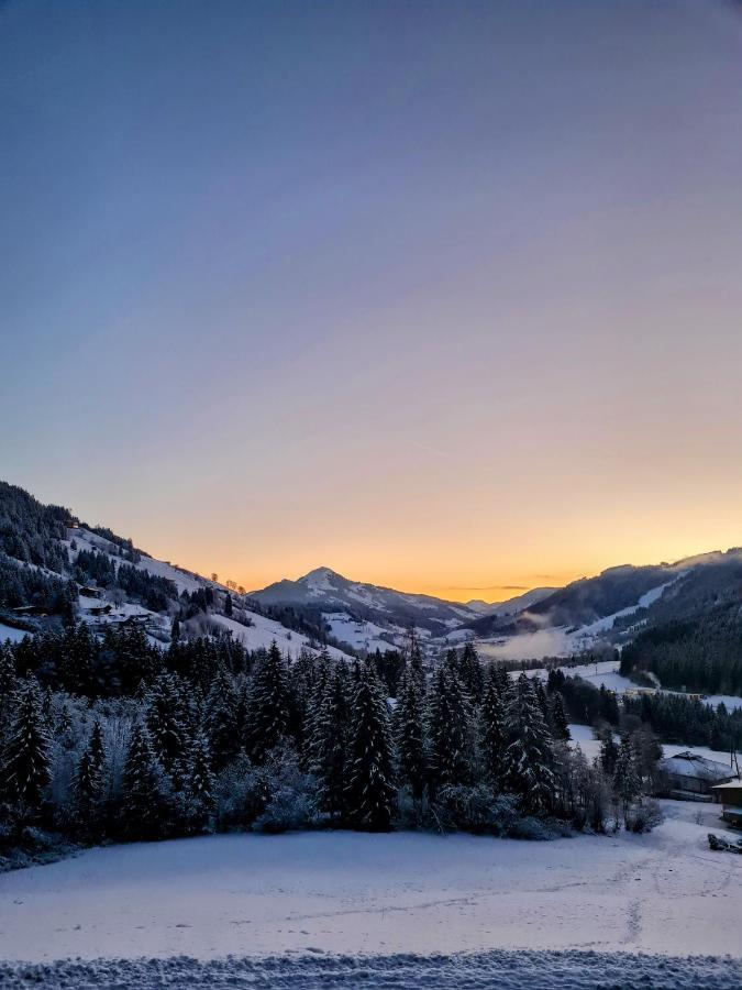 5 Pers. Ferienwohnung mit Traum Aussicht Wildschoenau Exterior foto